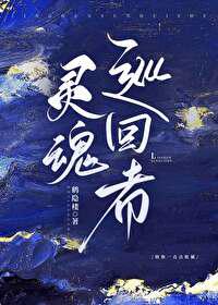 灵魂巡回者
