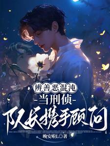 辨善恶混沌：当刑侦队长携手顾问