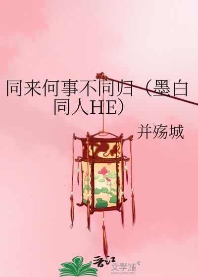 同来何事不同归