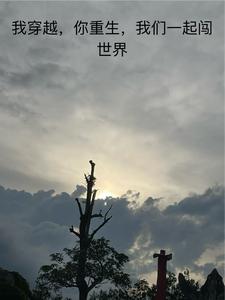 我穿越，你重生，我们一起闯世界