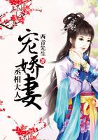 丞相大人宠娇妻