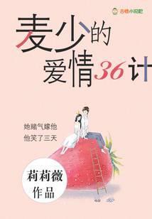 麦少的爱情三十六计