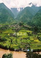 我在农村逍遥那些年