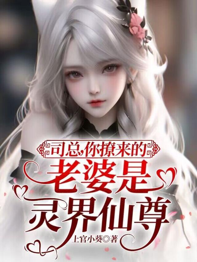 司总，你撩来的老婆是灵界仙尊