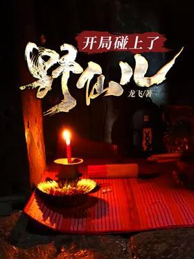 开局碰上了野仙儿