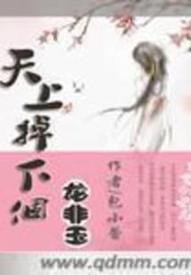 天上掉下个龙非玉