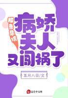 报告总统，病娇夫人又闯祸了