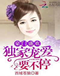 豪门盛欢：独家宠爱，要不停