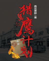 猎鹰计划