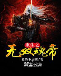 重生之无双魂帝