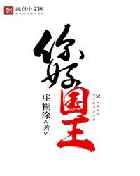 你好国王