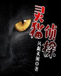 灵猫侦探