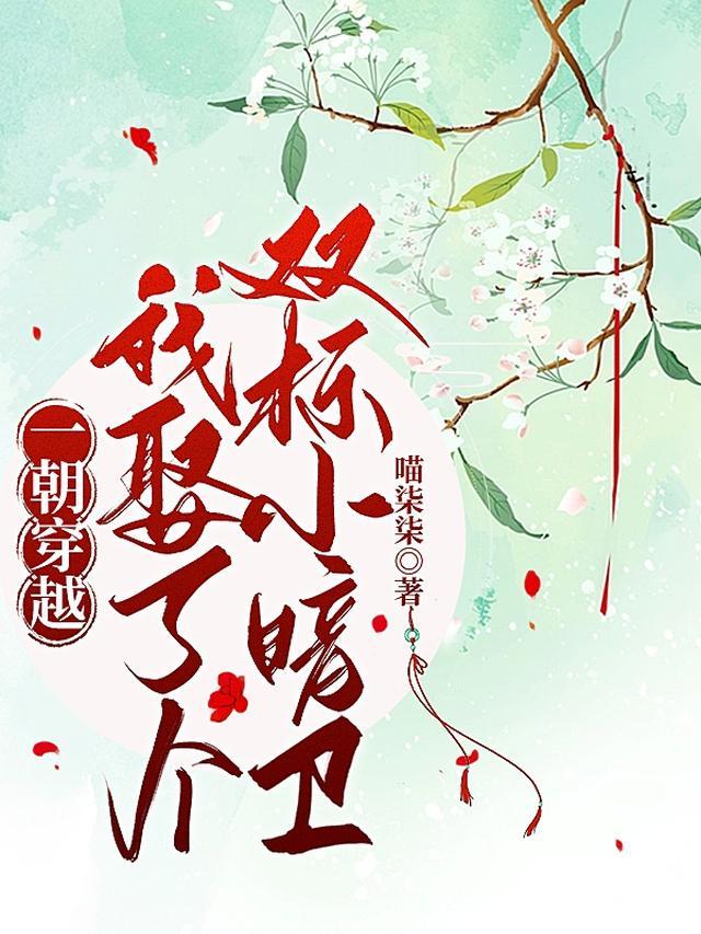 一朝穿越，我娶了个双标小暗卫