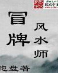冒牌风水师