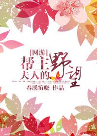 帮主夫人的野望