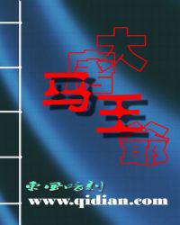 大唐马王爷