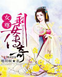 女尊剩女传奇