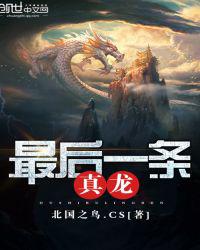 最后一条真龙