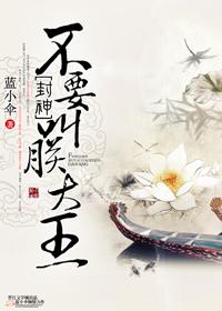 不要叫朕大王