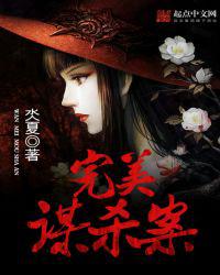 完美谋杀案