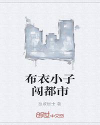 布衣小子闯都市