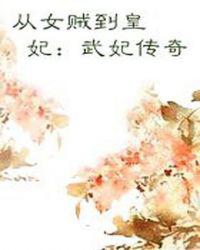 从女贼到皇妃：武妃传奇