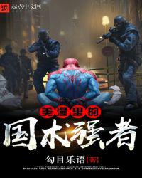 美漫里的国术强者